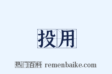投用是什么意思的图片